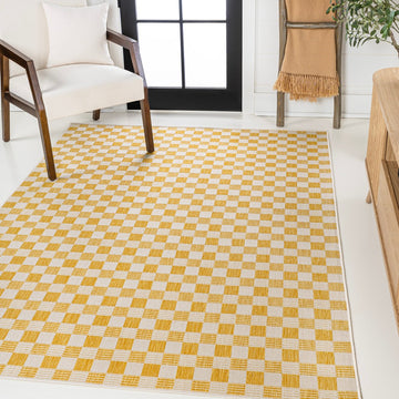 Aimee Traditional Cottage Checkerboard Indoor/Outdoor Area Rug